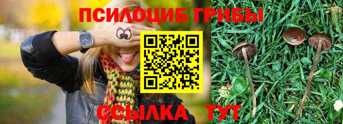 Братск  Псилоцибиновые грибы MAGIC MUSHROOMS  Вход с VPN 