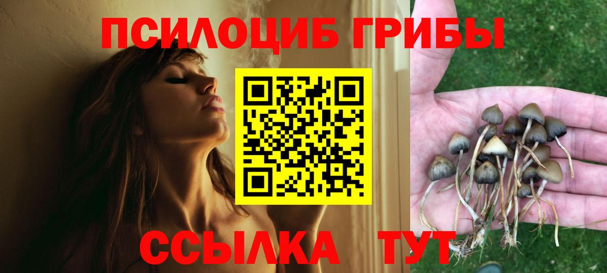 Псилоцибиновые грибы мухоморы Братск