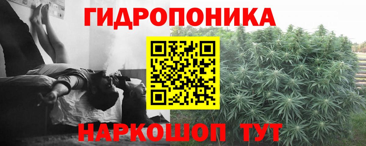 Бошки марихуана семена  Бошки Шишки Bruce Banner  Братск  Вход с VPN 